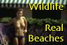 Wildlife Bikini &B Topless Beaches