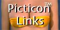 Picticon Webmaster Resources